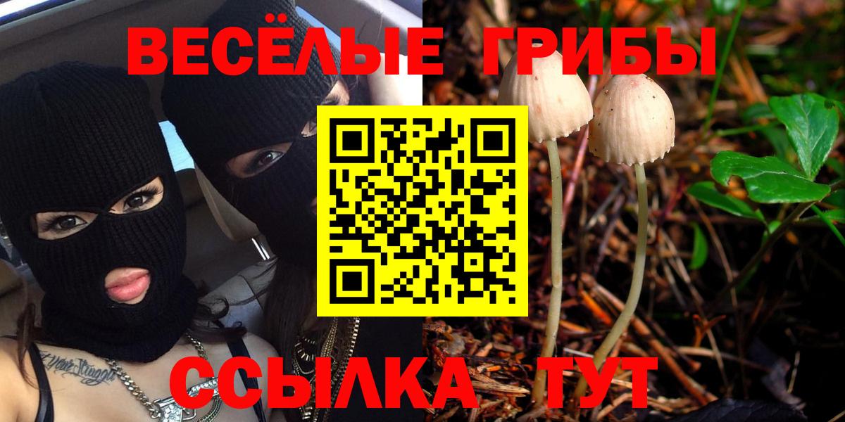 Псилоцибиновые грибы GOLDEN TEACHER Зима