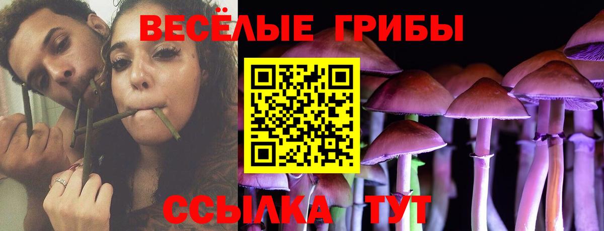 Галлюциногенные грибы ЛСД  Псилоцибиновые грибы мицелий  Зима  Вход с VPN 